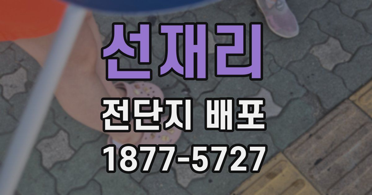선재리 전단지 배포