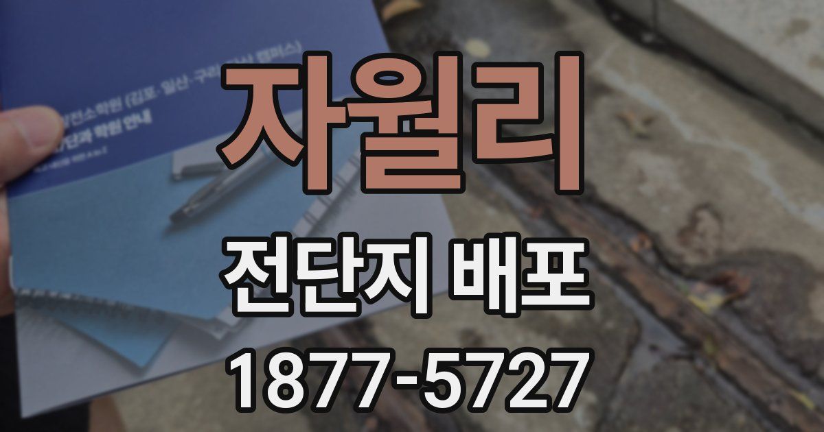 자월리 전단지 배포
