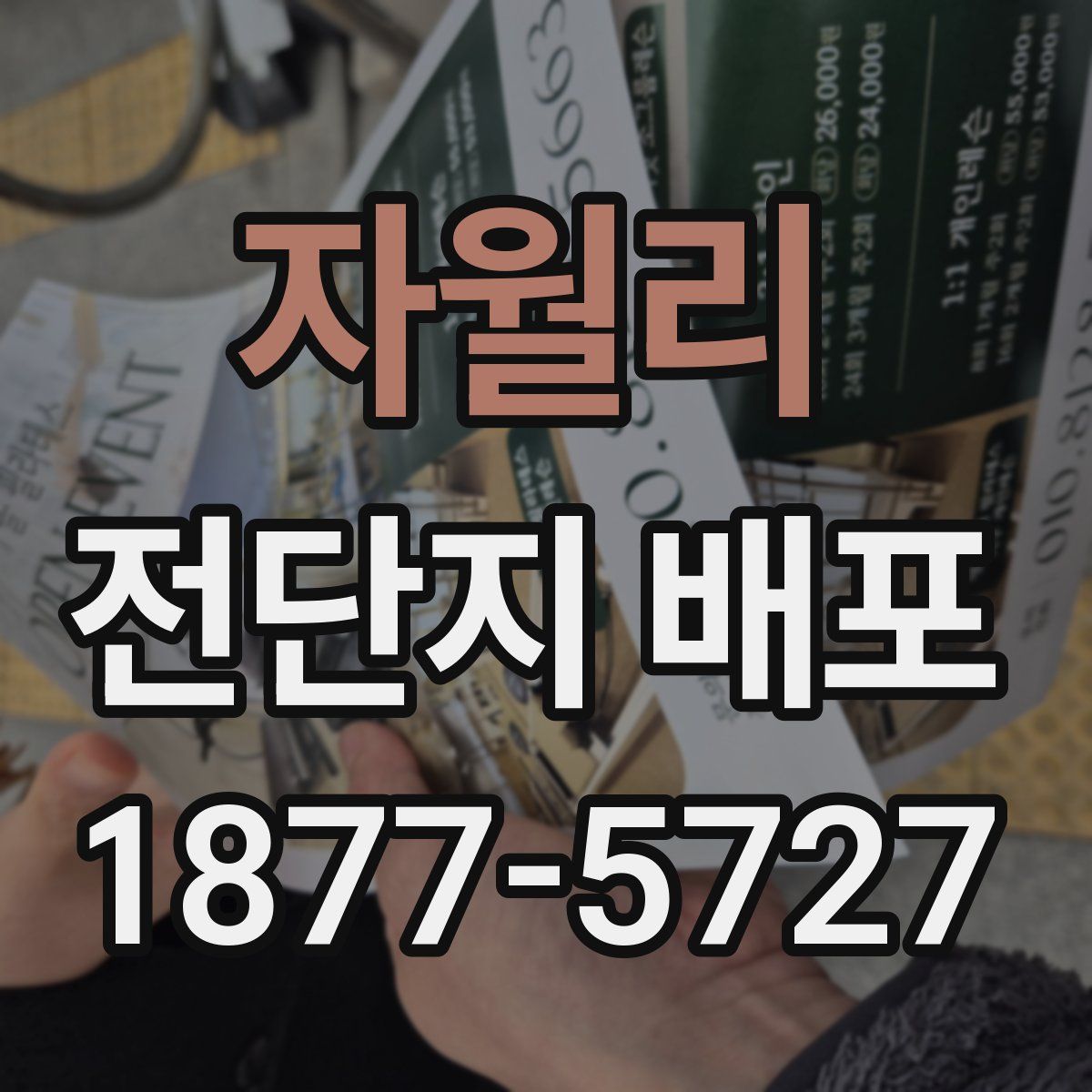 자월리 전단지 배포