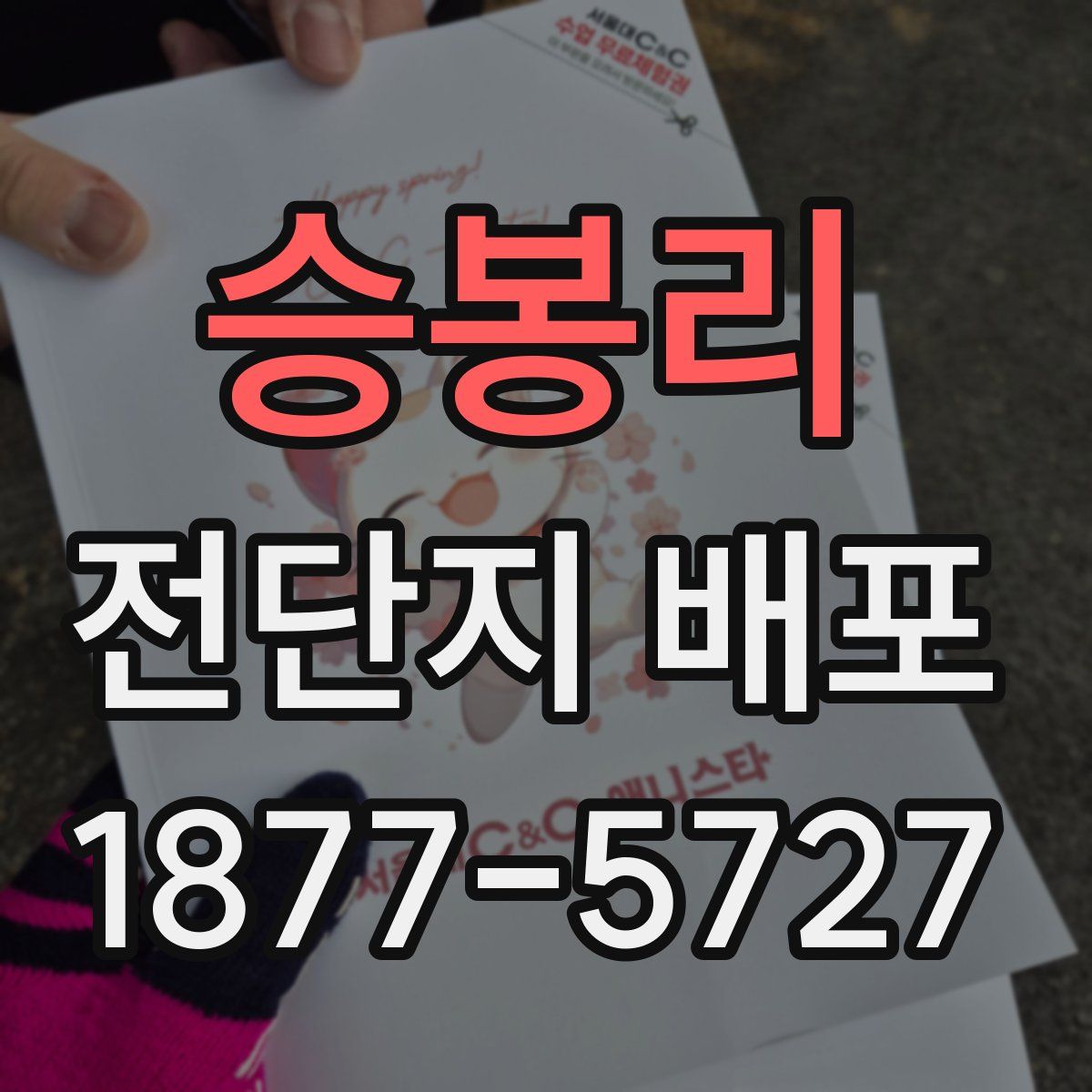 승봉리 전단지 배포