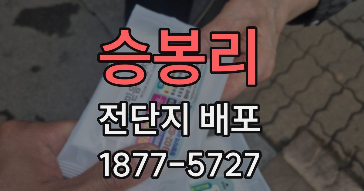 승봉리 전단지 배포