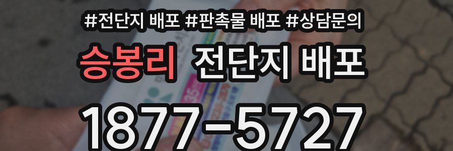 승봉리 전단지 배포