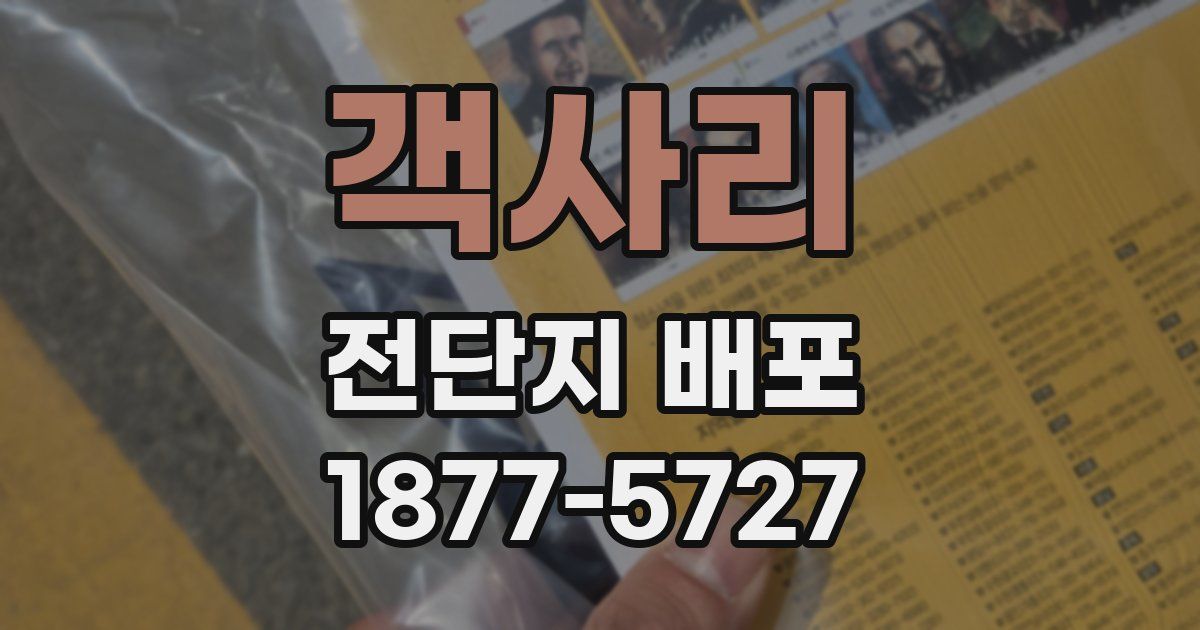 객사리 전단지 배포