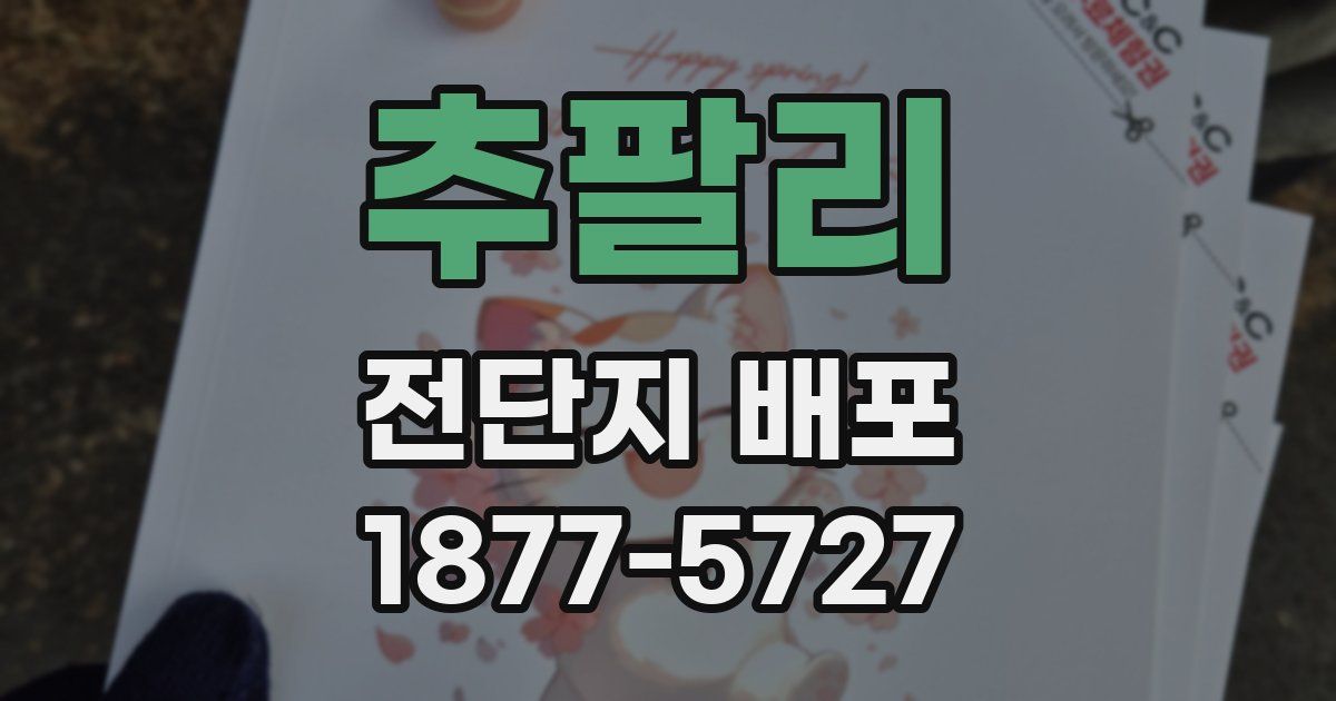 추팔리 전단지 배포