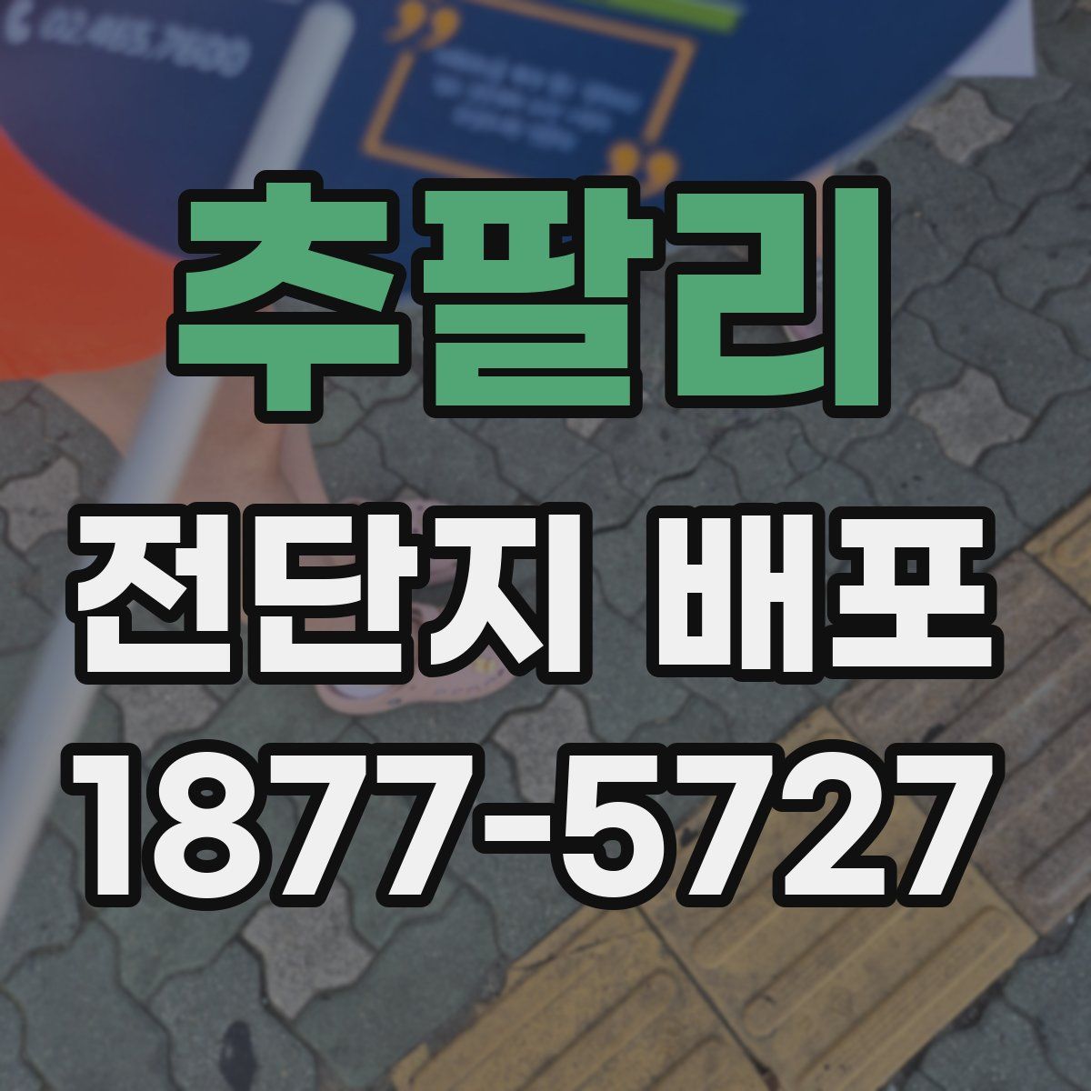 추팔리 전단지 배포