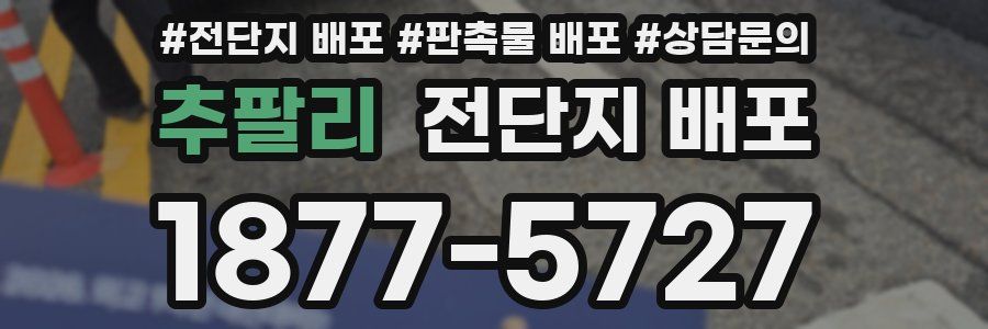 추팔리 전단지 배포