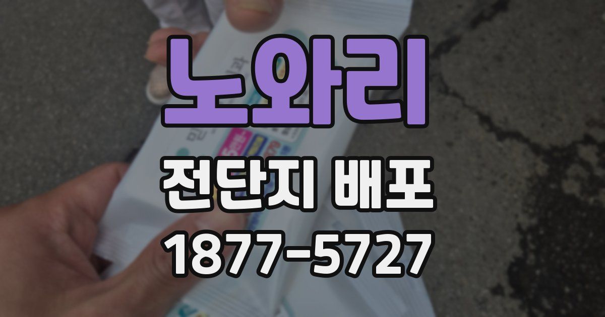 노와리 전단지 배포