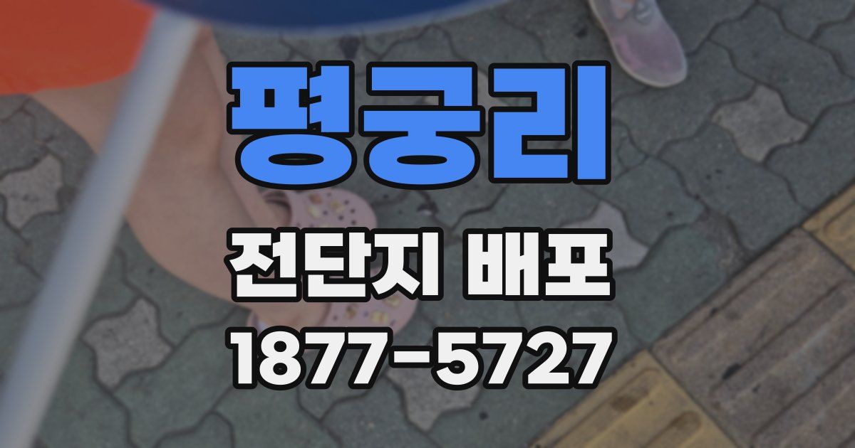 평궁리 전단지 배포