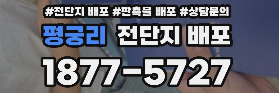 평궁리 전단지 배포