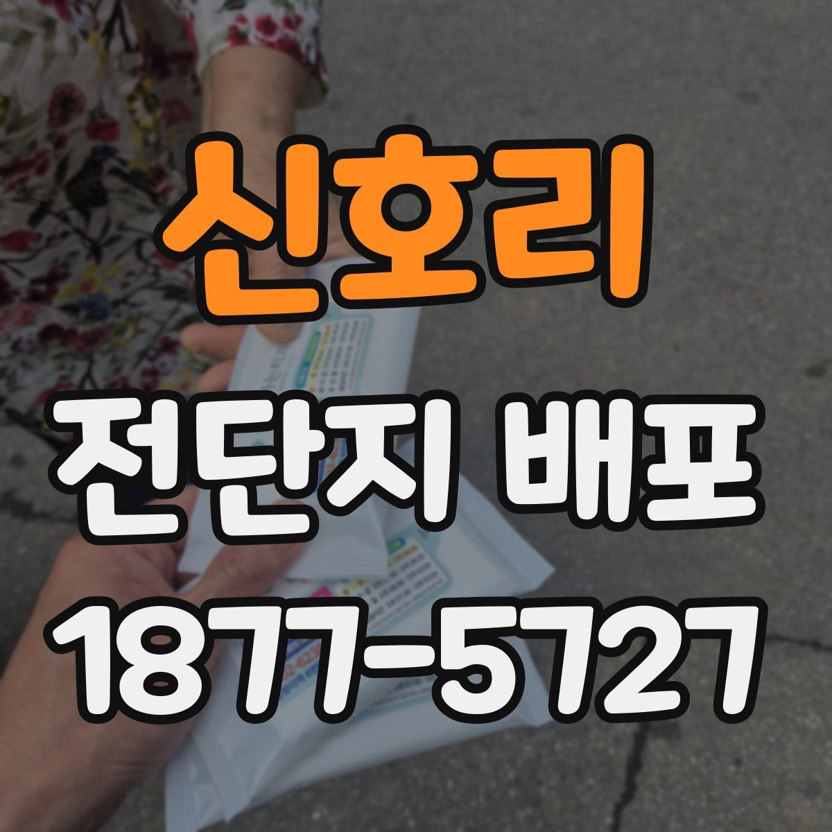 신호리 전단지 배포