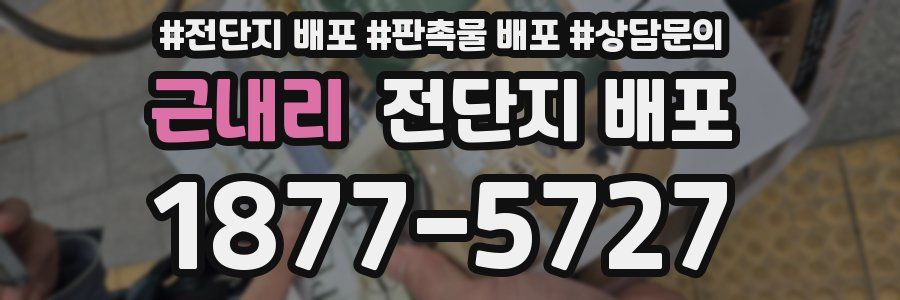 근내리 전단지 배포