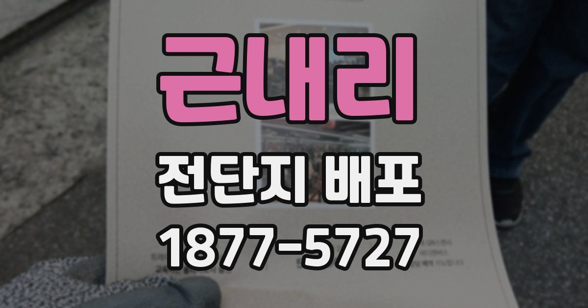 근내리 전단지 배포