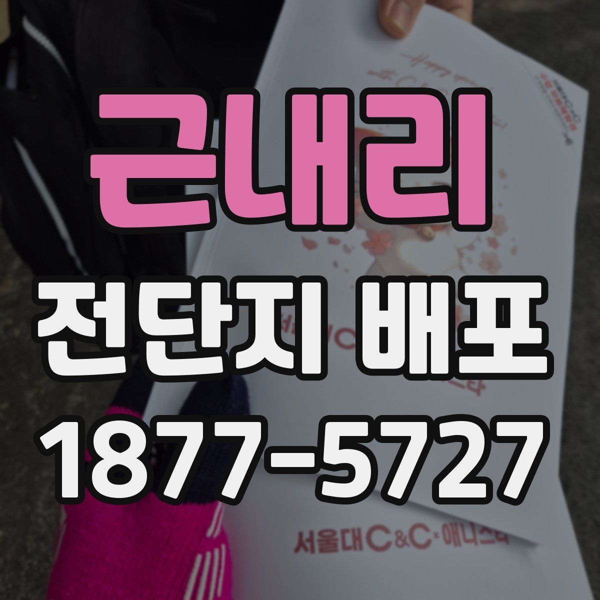 근내리 전단지 배포