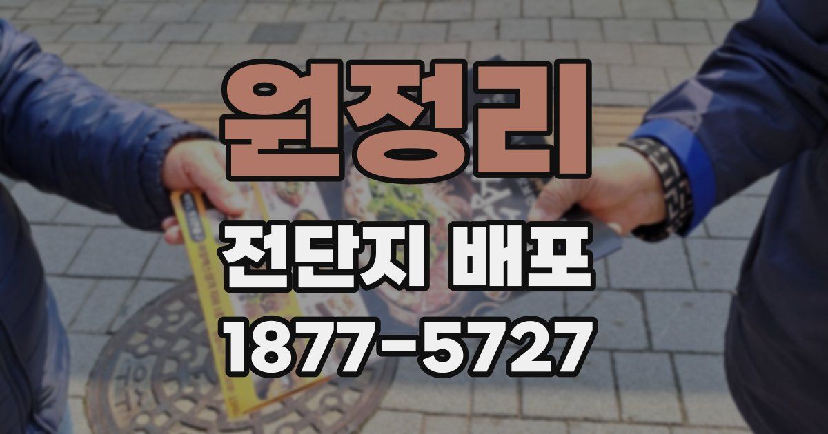 원정리 전단지 배포