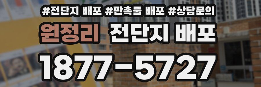 원정리 전단지 배포