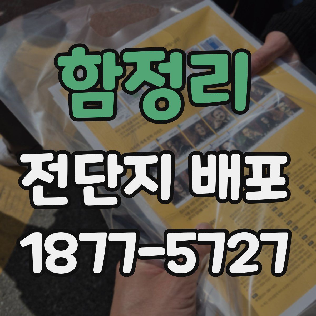 함정리 전단지 배포