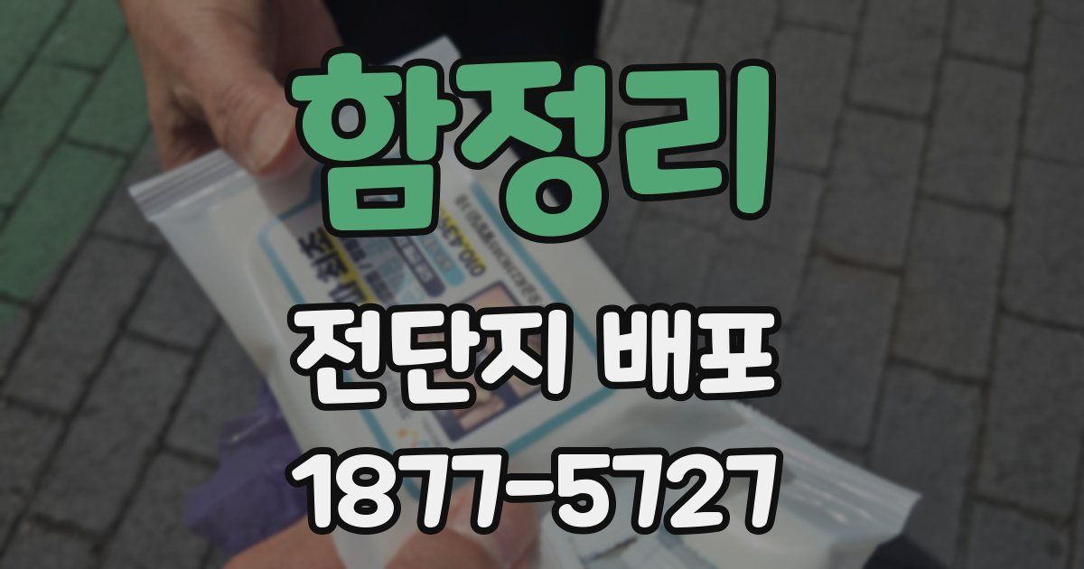 함정리 전단지 배포