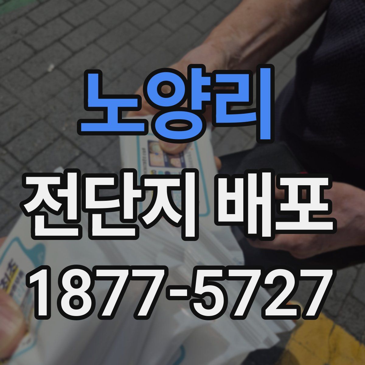 노양리 전단지 배포