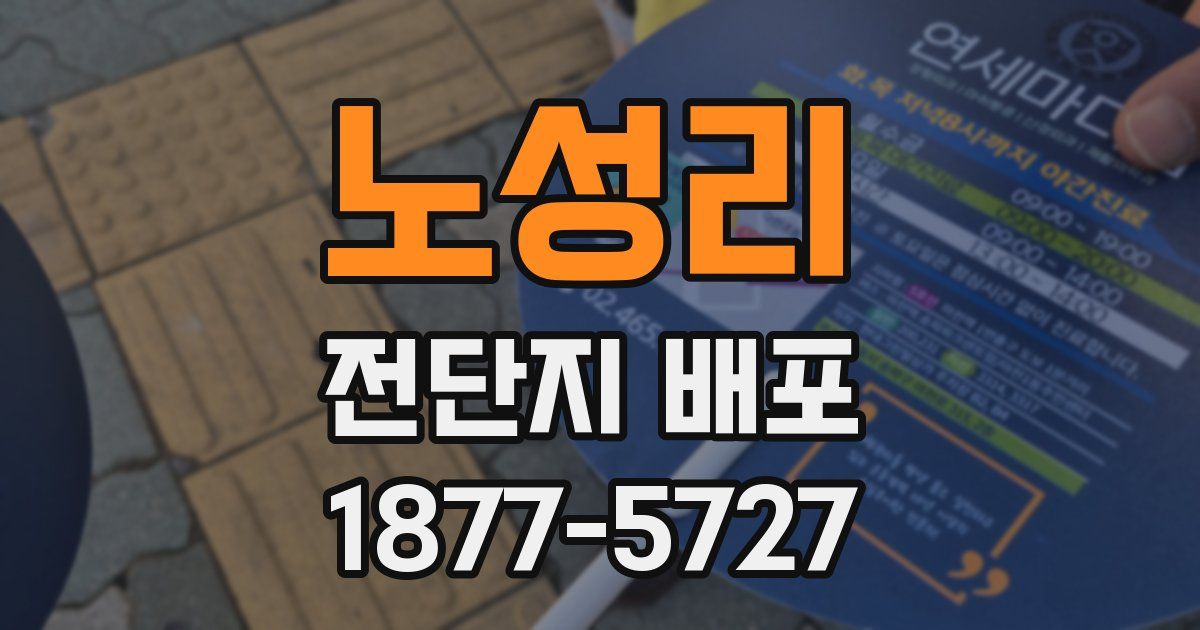 노성리 전단지 배포