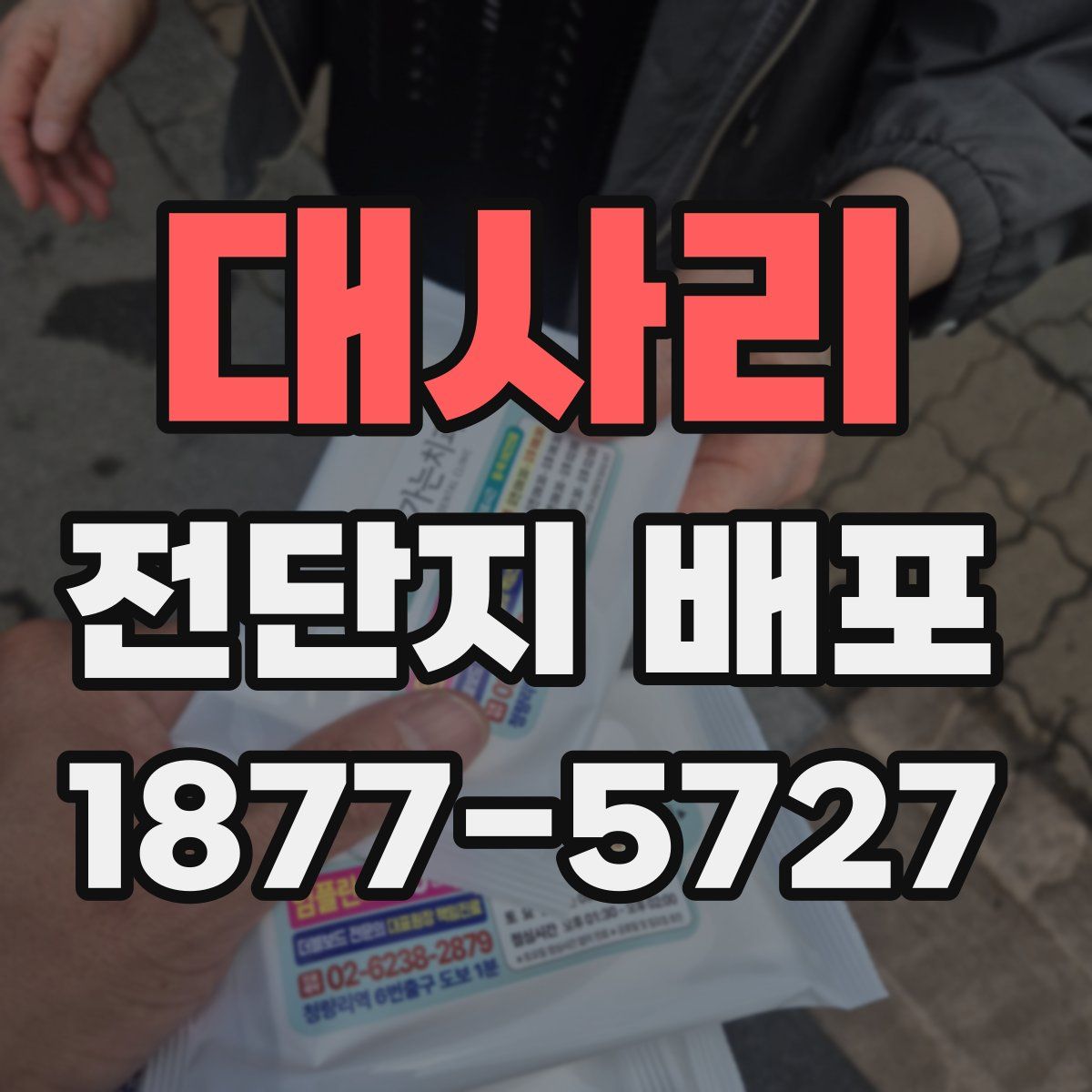 대사리 전단지 배포