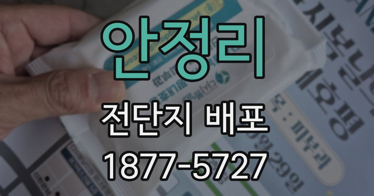 안정리 전단지 배포