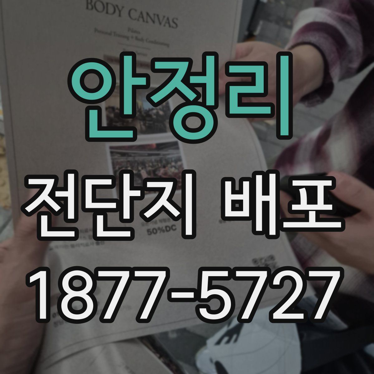 안정리 전단지 배포
