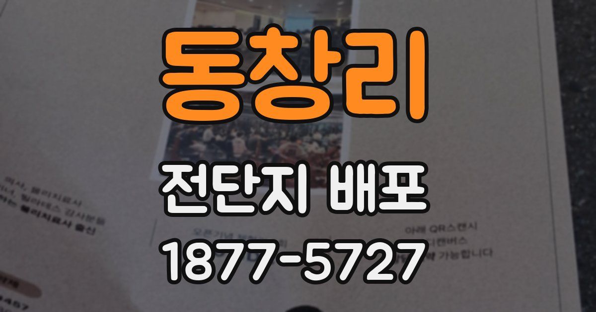 동창리 전단지 배포