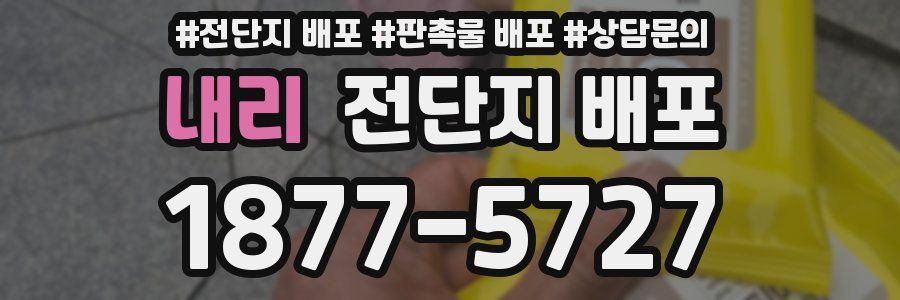 내리 전단지 배포