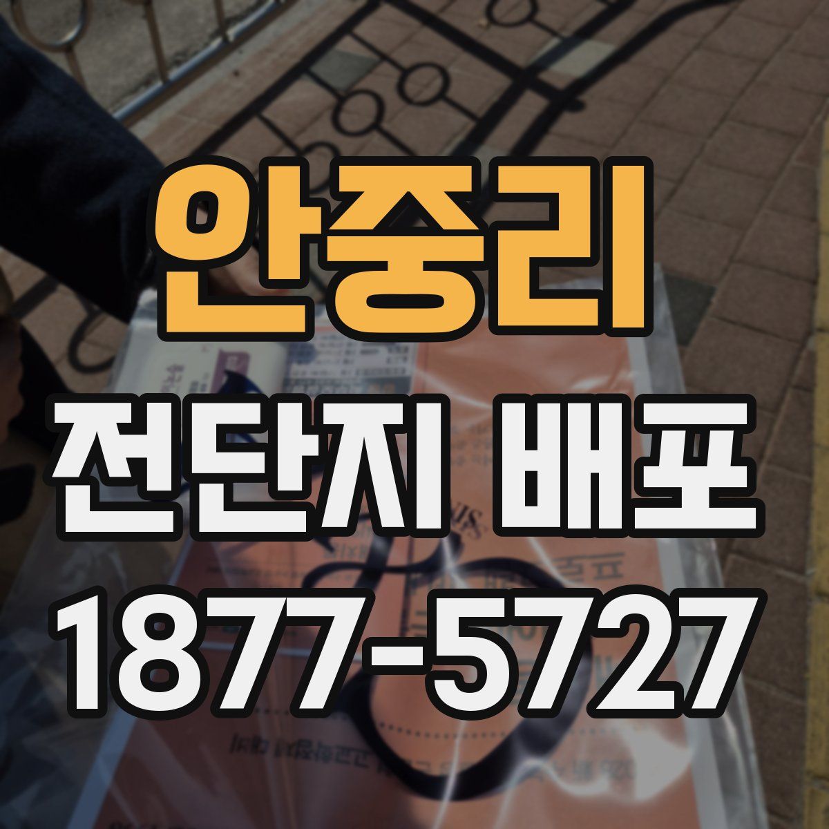 안중리 전단지 배포
