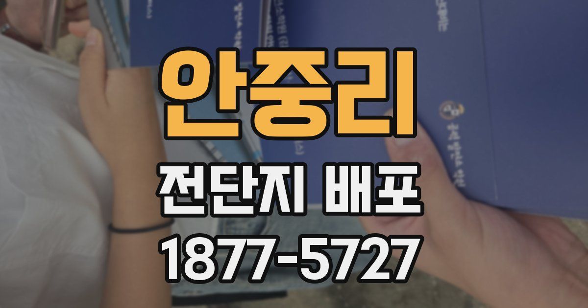 안중리 전단지 배포