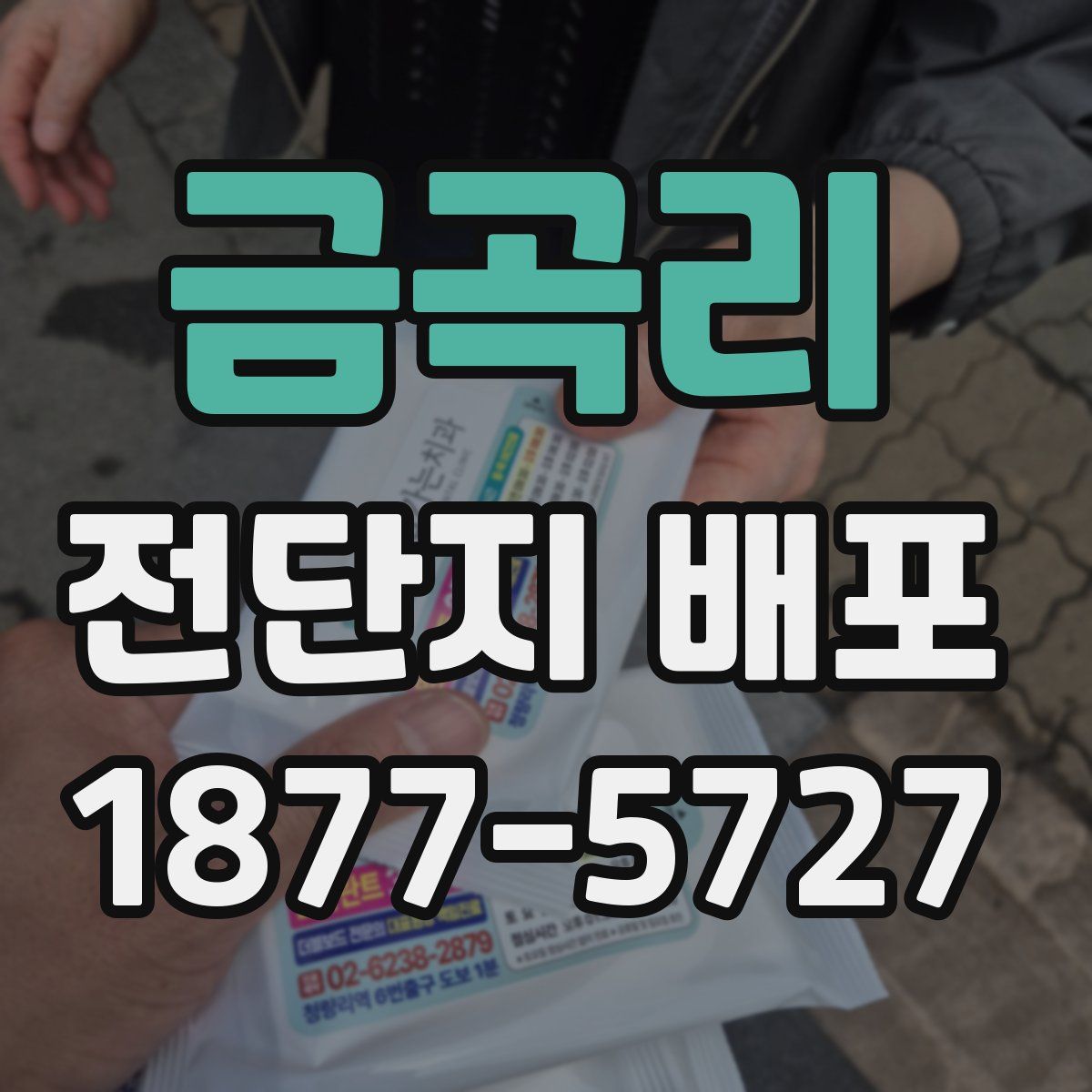 금곡리 전단지 배포