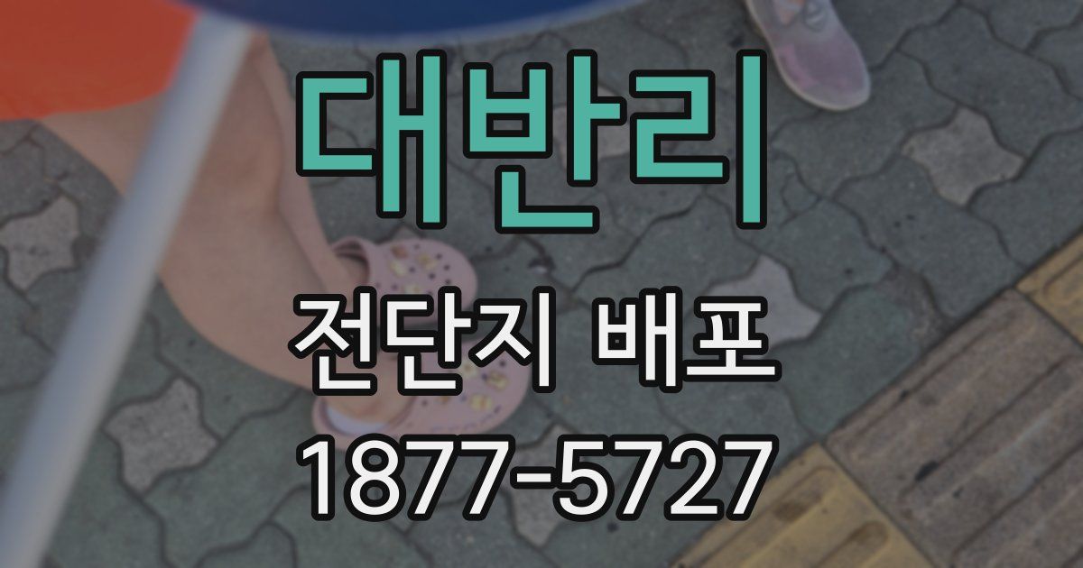 대반리 전단지 배포
