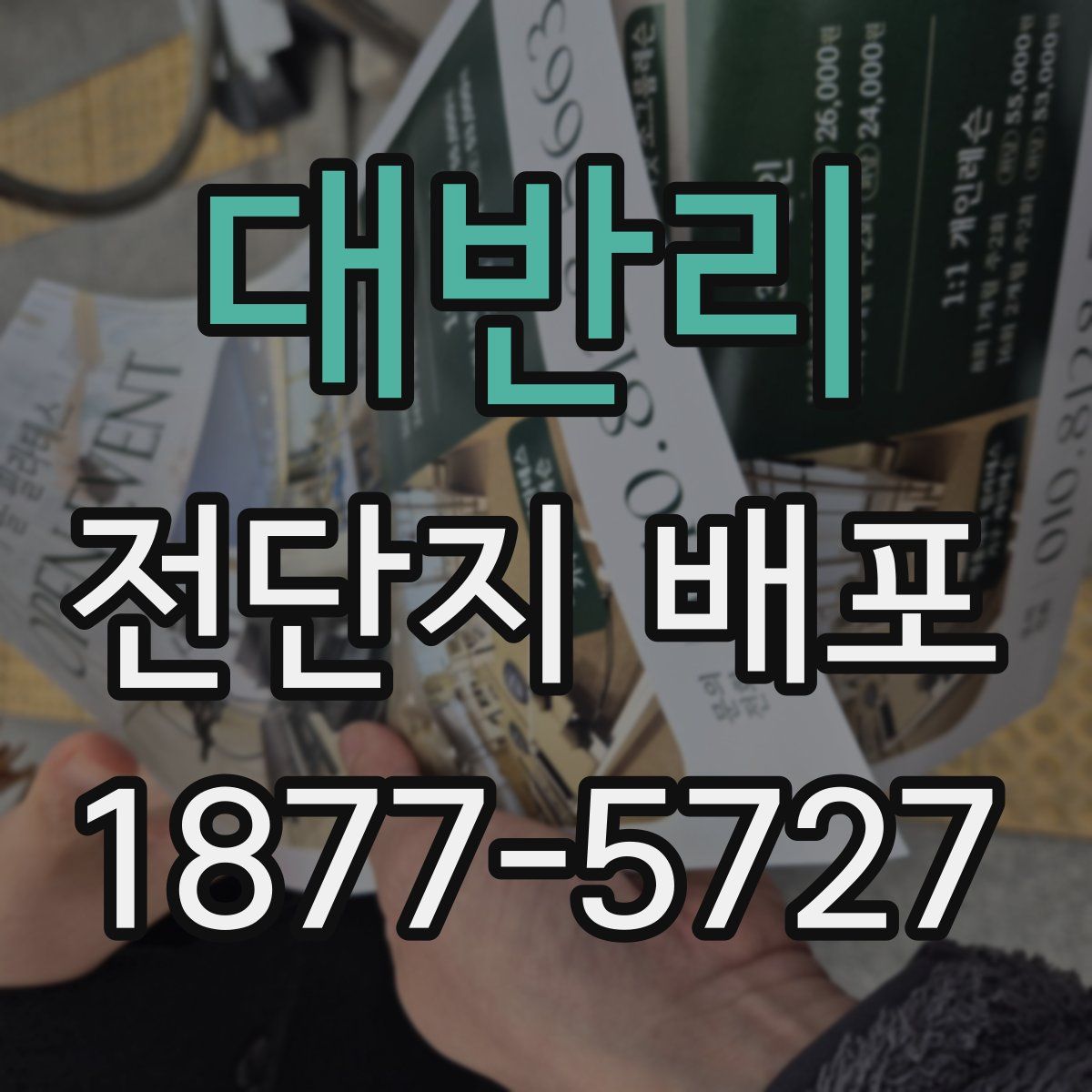 대반리 전단지 배포