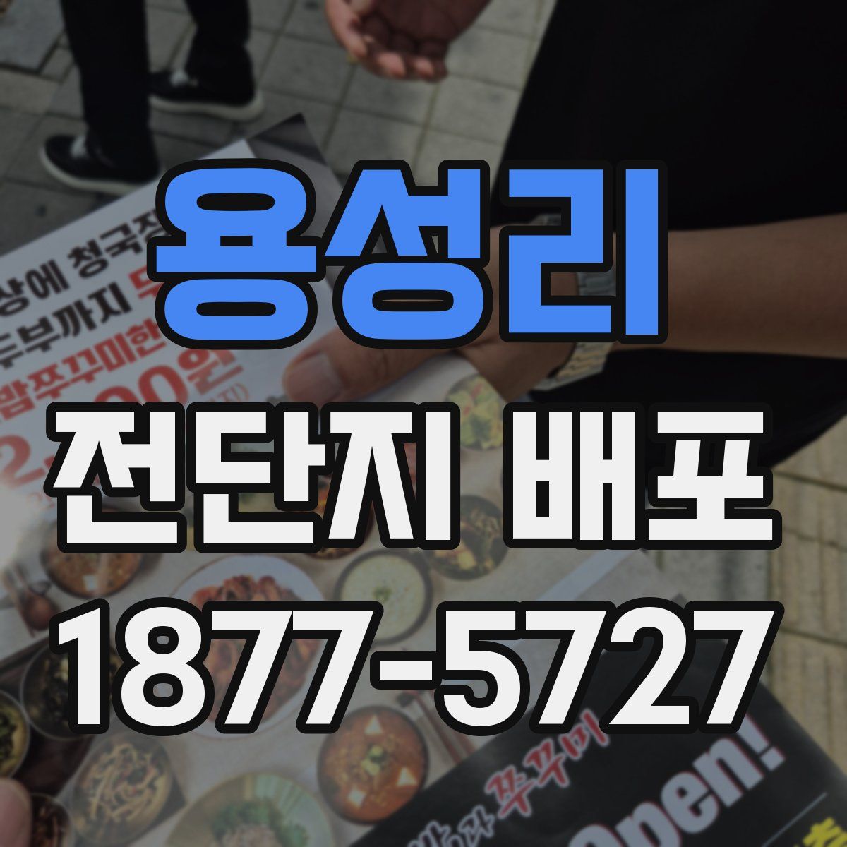 용성리 전단지 배포