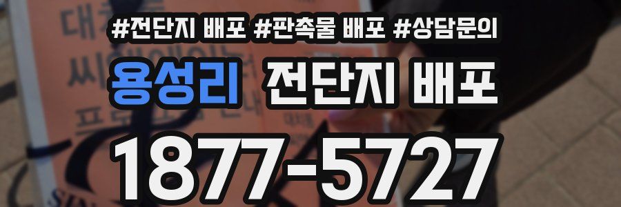 용성리 전단지 배포