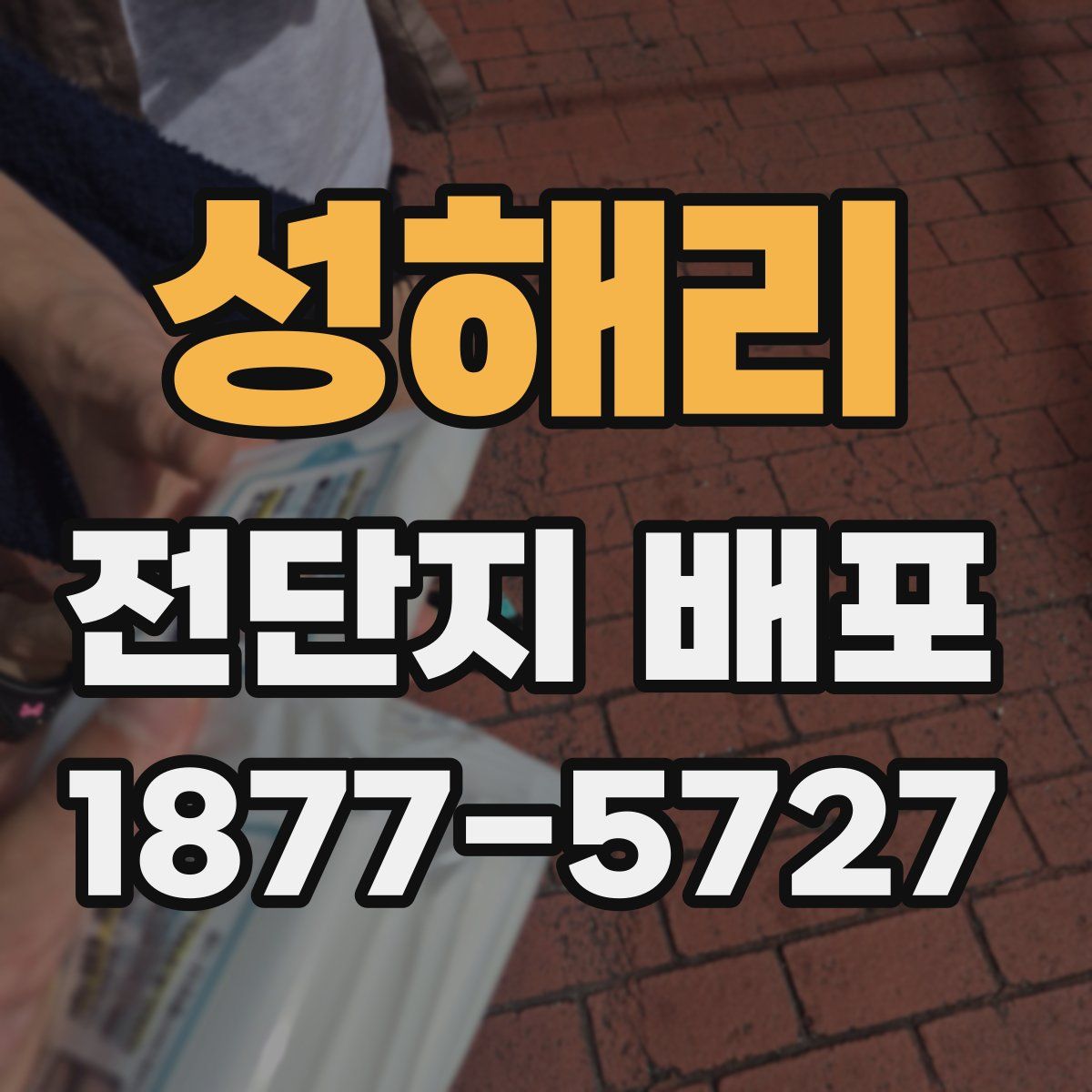 성해리 전단지 배포