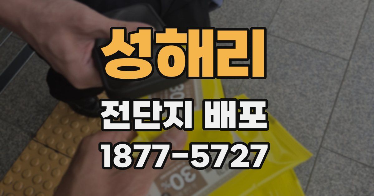 성해리 전단지 배포