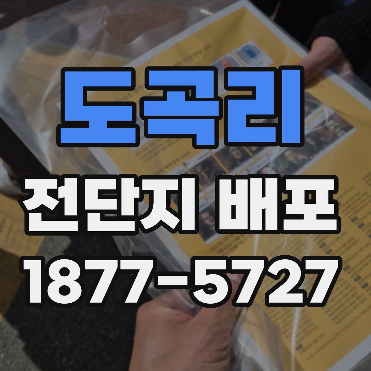 도곡리 전단지 배포