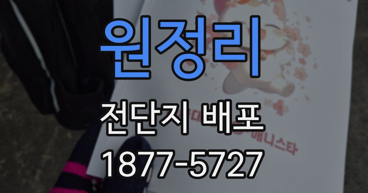 원정리 전단지 배포