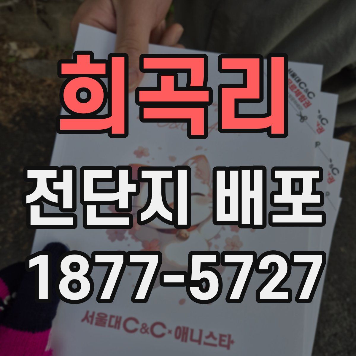 희곡리 전단지 배포