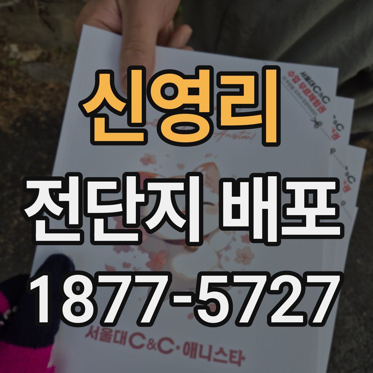 신영리 전단지 배포