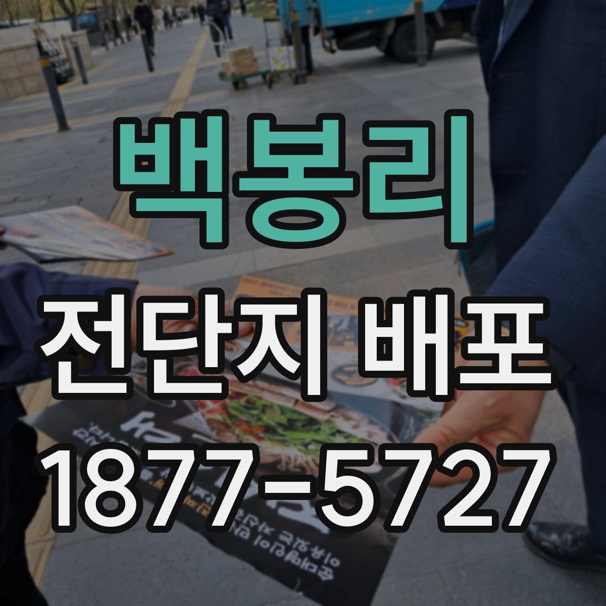 백봉리 전단지 배포