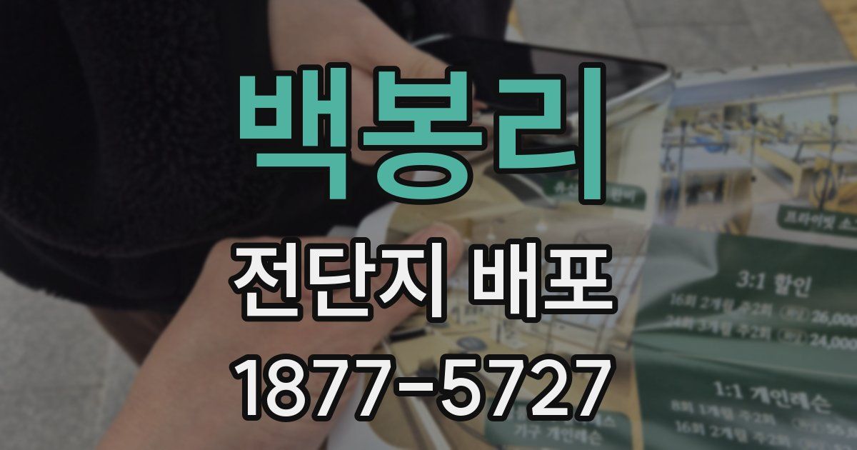 백봉리 전단지 배포