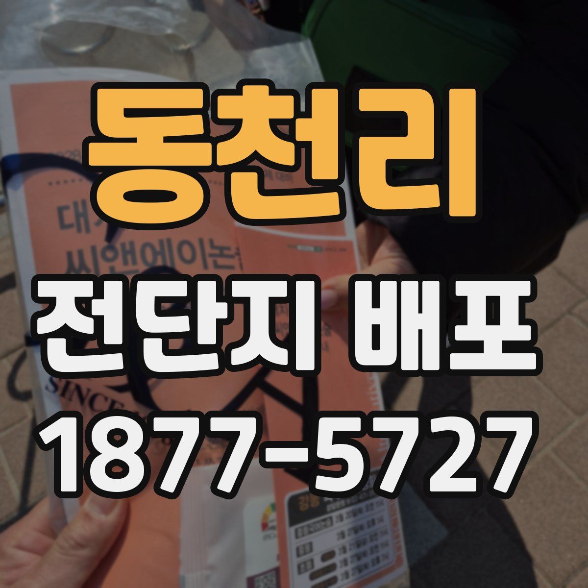동천리 전단지 배포