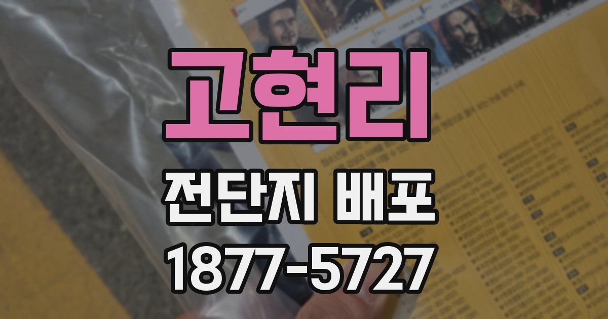 고현리 전단지 배포