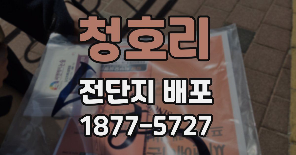 청호리 전단지 배포