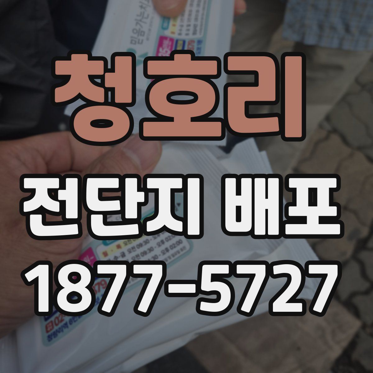 청호리 전단지 배포