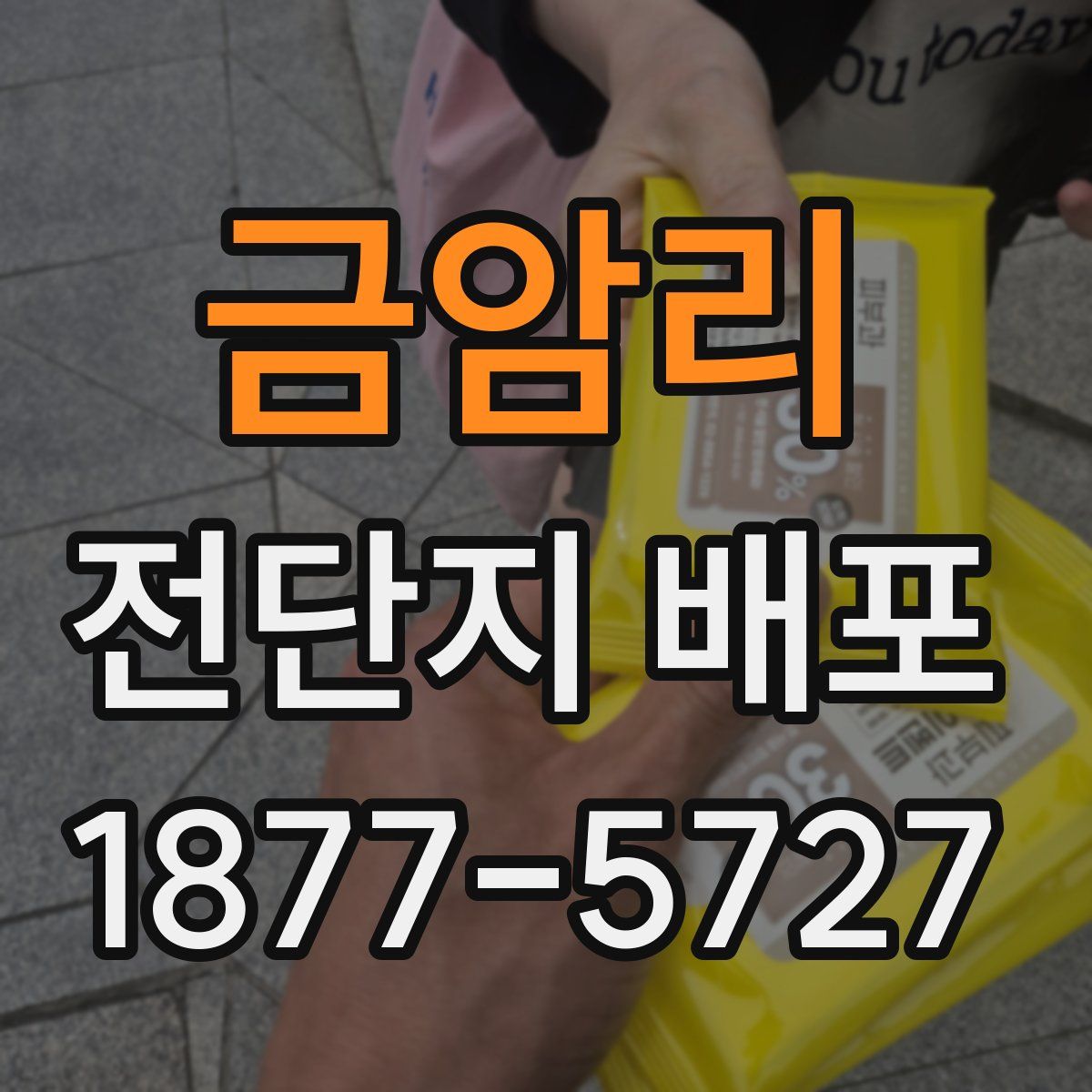 금암리 전단지 배포