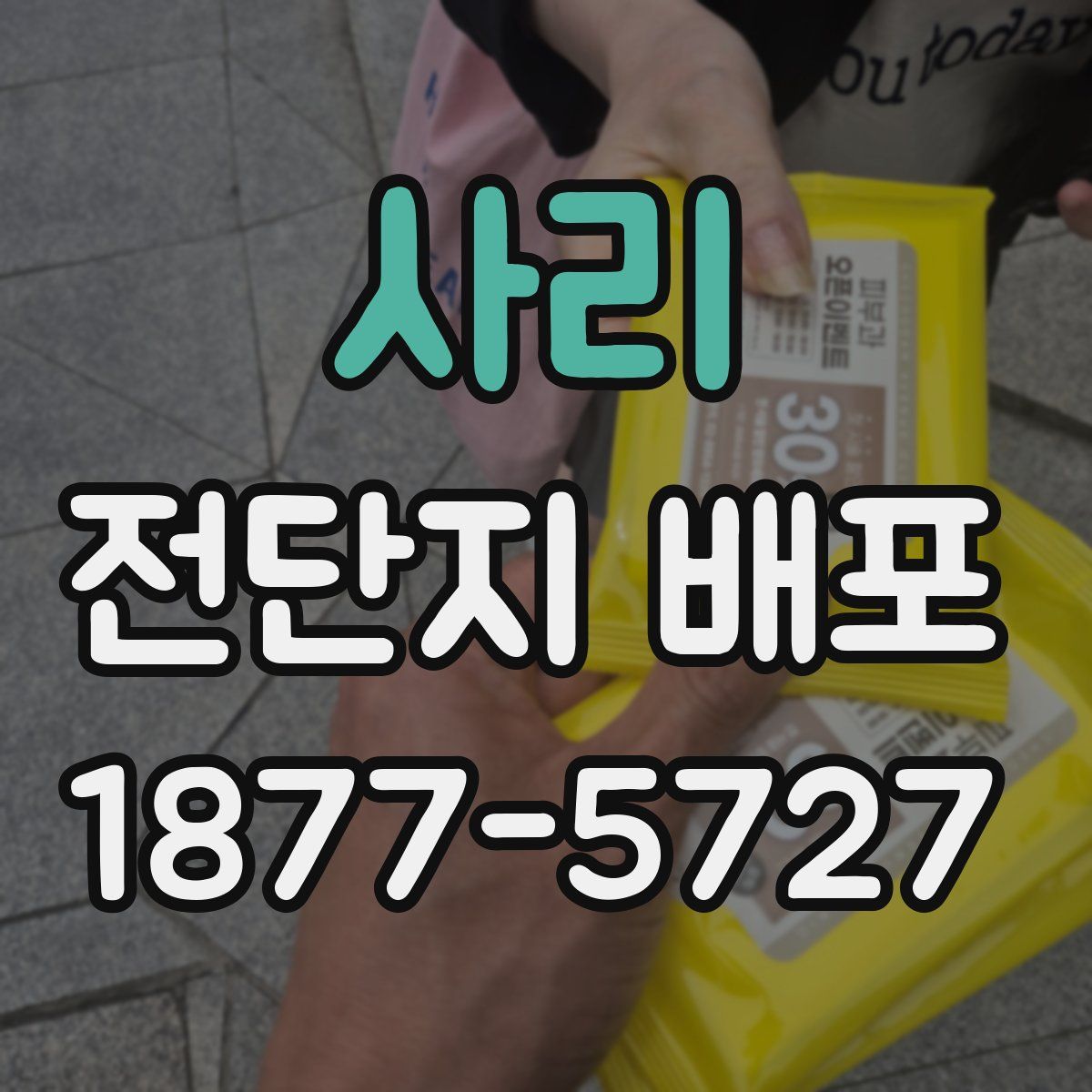 사리 전단지 배포