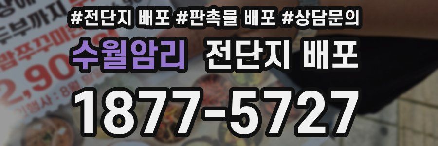 수월암리 전단지 배포